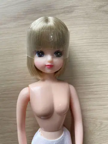 리카짱 캐슬 인형 본체