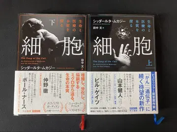 세포 상하권 세트