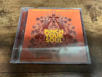 크라지콰이 프로젝트 CD [PINCH YOUR SOUL] 한국 K-POP