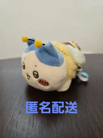 치이카와 (먼작귀) 하치 씨 마스코트 하치와레
