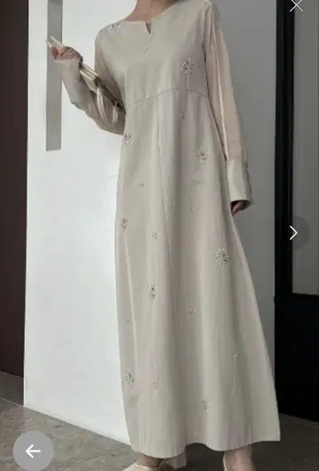 비쥬 모티브 시어 슬리브 그레이스풀 OP