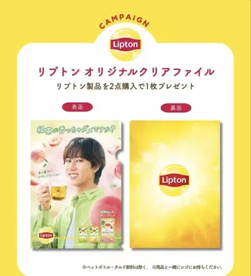 립톤 오리지널 클리어 파일 아베 료헤이