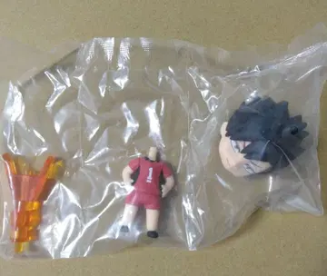 하이큐 미니 넨도로이드 쿠로오