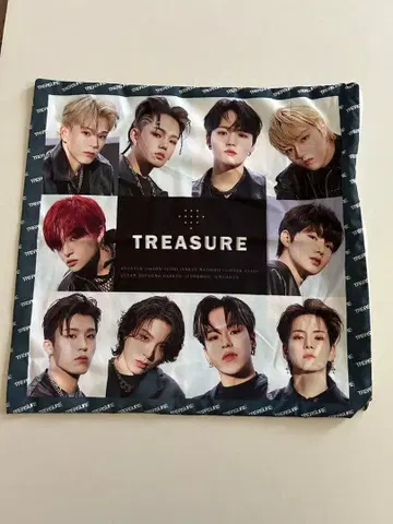 TREASURE 멤버 집합 사진 쿠션 커버