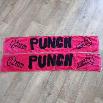 [더 크로마뇽즈] PUNCH 투어 타월