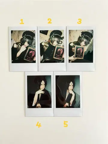 다우트 폴라로이드 (이부키)