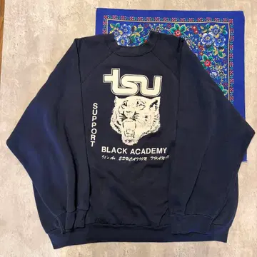 최종 가격 인하 TULTEX 90s USA제 SWEAT