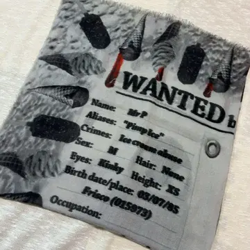 10-15. Delicious Freaks 펭귄 캐시미어 스톨