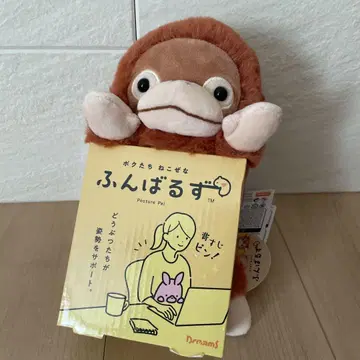 미사용 새상품 푼바루즈