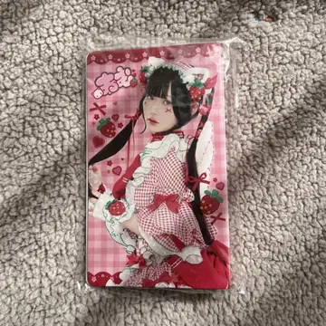 팀 딸기 폴라로이드 북
