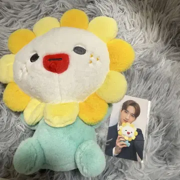 제오참 비라 BIRA 봉제 인형