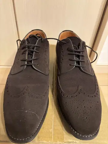 SCOTCH GRAIN 스웨이드 윙 칩 슈즈 25.5cm