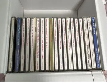 아라이 유미 시절의 유밍 CD 컬렉션
