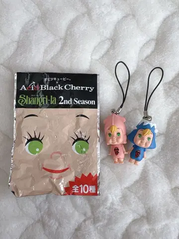 Acid Black Cherry 오비츠 큐피 세트