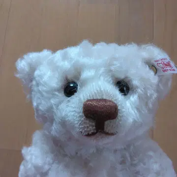 스카이트리 슈타이프
