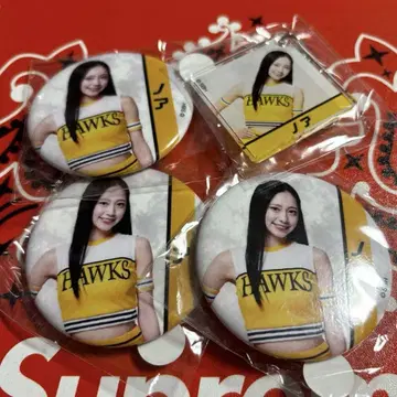 노아 아크릴 키링 캔뱃지 4종 와카타카 가챠 허니즈 honeys