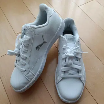 PUMA 화이트 스니커즈 새상품 스매시 캣 실버 22cm