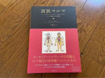 도설 마르마 요가와 아유르베다를 잇는 인도 비전의 신체론 이토 타케시