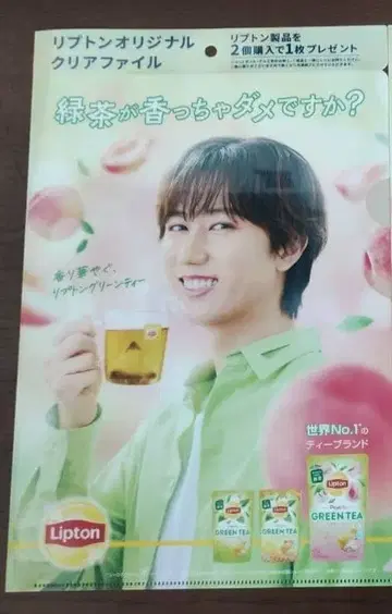 [ 무료배송 ] 립톤 오리지널 클리어 파일 아베 료헤이