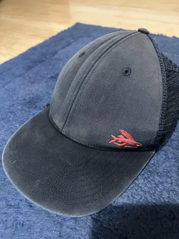 파타고니아 patagonia 캡
