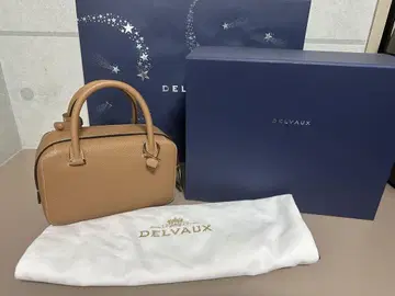 DELVAUX 쿨 박스 미니