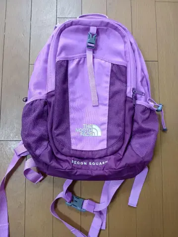 THE NORTH FACE RECON SQUASH 백팩