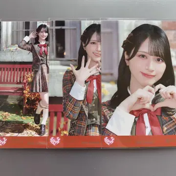 이코라부 사사키 마이카 생사진