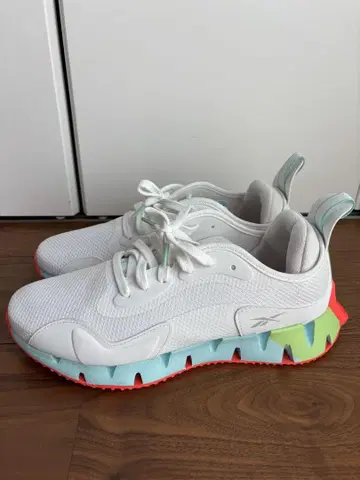 리복 지그 다이나미카 / Zig Dynamica Shoes