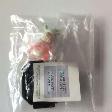 포켓몬 배틀 뮤지엄 야도킹