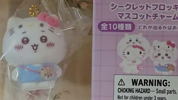 치이카와 (먼작귀) 산리오 시크릿 플로키 마스코트 참 키티