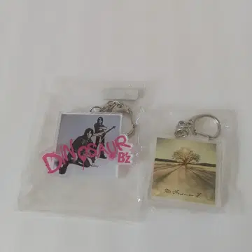 Bz 키링 2개 세트 Dinosaur FriendsIII CD 특전