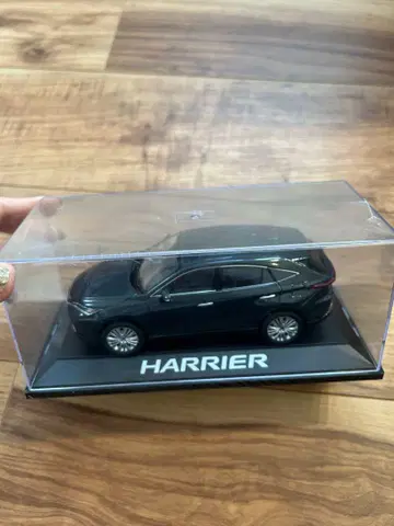 HARRIER 1/30 스케일 모델 블랙