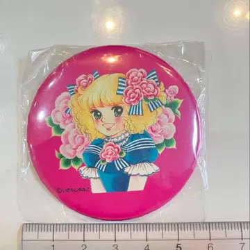 캔뱃지 캔디캔디 CANDY 이가라시 유미코