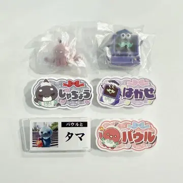 교육 방송 칭찬 칭찬 카페 명찰풍 배지 가챠