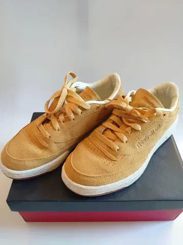 Reebok 스니커즈 클럽 C 85 (골든 위트) 24.5cm