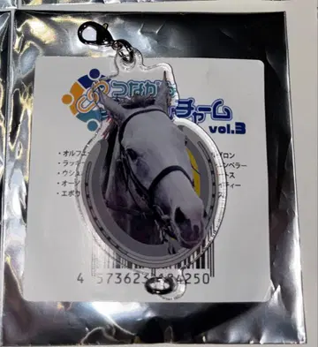 netkeiba 이어지는 아크릴 참 vol.3 골드십