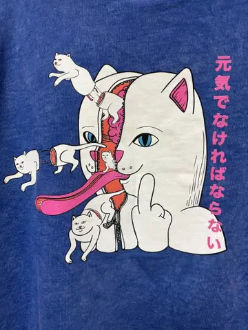 RIPNDIP 속기모 후드티 블루