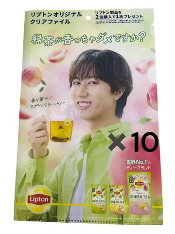립톤 오리지널 클리어 파일 10장 세트