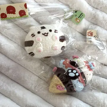 스퀴즈 해외 스퀴즈 쪼물쪼물