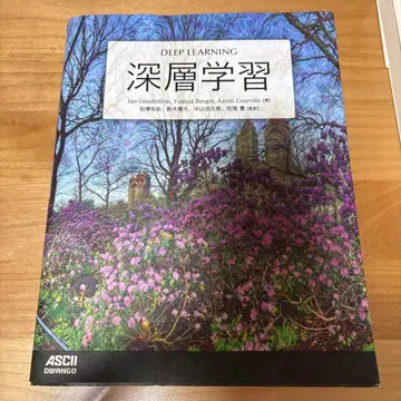 심층 학습