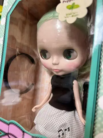 브라이스 심플리 페퍼민트 본체