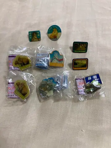 홋카이도, 관동 가챠 핀즈