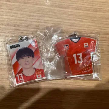 배구 오가와 토모히로 메지루시 참