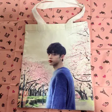 샤오잔 토트백