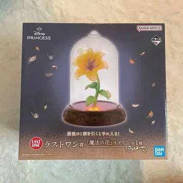 디즈니 프린세스 마법의 꽃 라이트와 미니 캔버스 보드 세트