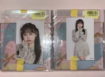 마츠모토 카렌 H상 스마트폰 사이즈 스티커 FRUITSZIPPER