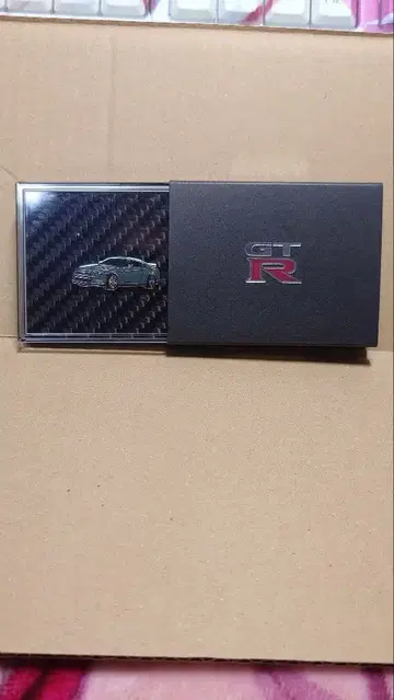 GT-R R35 탄소섬유풍 핀즈