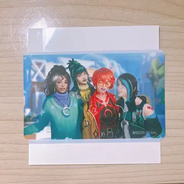 익명 배송 APEX 네시 카페 카탈리스트 스티커