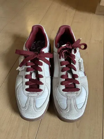 Puma 스웨이드 스니커즈 화이트/버건디 팔레르모 PALERMO