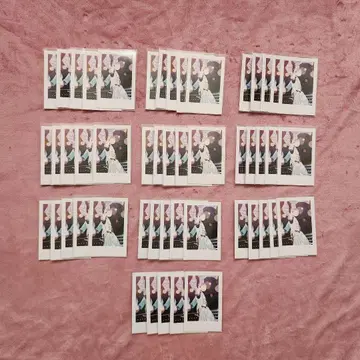 이레이스 실사 폴라로이드풍 트레이딩 카드 나이코